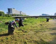 [30일 평택시] 추석 대비 하천변 환경정비 작업 등