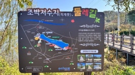 그늘 잃은 조박저수지 둘레길⋯ 갑자기 잘려나간 나무들에 시민들 분통