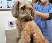 [4일 안성시] 물류창고 주변 불법행위 합동점검 등