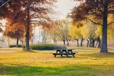 [28일 부산시] 국내 1호 낙동강 하구 국가도시공원 지정 자문 회의 개최 등
