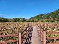 [AT 포토] 경기 광주시, 팔당호 품은 퇴촌면 경안천습지생태공원 생태명소