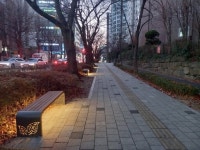 [24일 인천 남동구] 구월남로 벚꽃길 새 단장 등