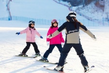 [AT 유통]세븐일레븐·휘닉스호텔·신세계百