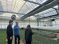 [17일 평택시] 국제유가 변동 대응 시설원예 농가 현장 점검 등