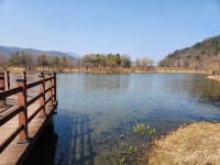 [AT포토] 봄기운 완연한 경안천습지생태공원에 피어난 미소