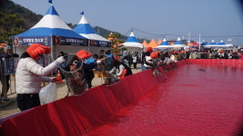 봄 바다와 대게의 만남⋯ 강구 해파랑 공원 ‘영덕대게축제’ 성황