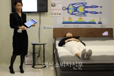 에몬스가구 가구의 대중명품화로 소비자 잡을 것