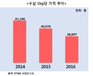 홍삼 제품 가격 인하 여력 있어