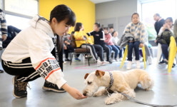 동물병원 진료비 천태만상… 최대 80배 차이