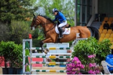 한국마사회 2021년 민간 승마대회 활성화 사업 추진
