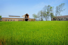 매일유업 상하농원 꽃보다 청보리 이벤트 운영