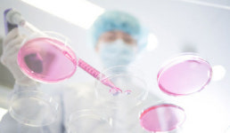 종근당-한미약품-코오롱제약 항암신약 개발 다각화