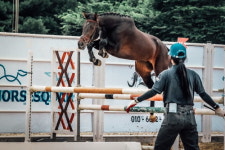 한국마사회 어린말 승마대회-스포츠말 품평회 성료