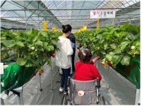 서울시, 2월부터 치유농업 프로그램 운영