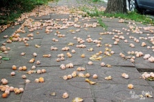 [커버스토리②] 산업단지, 지역의 무늬