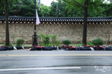 [포토] LS전선노조, 노조 탄압 중단 촉구 오체투지