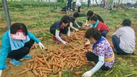 (주)새손 광원전자점 | 진천군 공직자 배우자 일손봉사