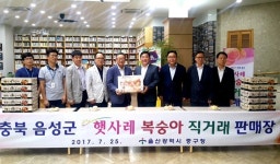 음성 햇사레복숭아 잘나가네~