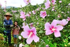 오늘은 무궁화의 날