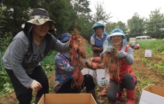 증평농협 고구마 판매금 복지시설 기탁