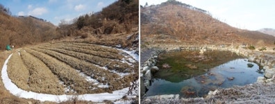 무심천 발원지 청주 내암리 난개발에 신음