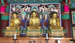 청양 정혜사 목조석가여래삼불좌상 道문화재 지정