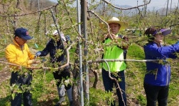 괴산농협 풍년농사 지원단 발대