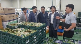 인삼과 깻잎의 콜라보 … 상생물꼬 텄다