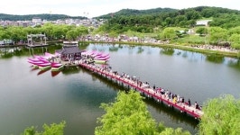 세계를 품은 궁남지 연꽃 향연속으로
