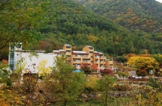 옥천 장령산 자연휴양림 행안부 `물놀이 안전명소 선정