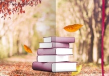 깊어가는 가을 … 책 보며 오감만족 즐기자