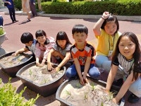 청주 새터초 학생들 모내기 체험