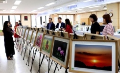 스마트폰  사진 `작품 변신