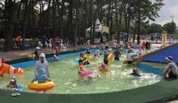 휴가철 소나무 숲서 무더위 탈출