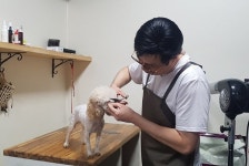 서원구 애견카페 행복하시개 취약가구 반려견 미용봉사