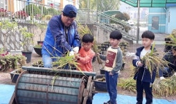 예산중앙초 `도심속 학교논 만들기 추수 행사