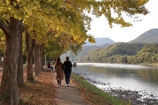 영동 양산팔경 금강둘레길 걷고 힐링