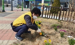 청주 강서2동 행정복지센터 꽃묘 식재
