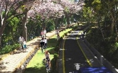 청주 우암산 둘레길 조성 재추진