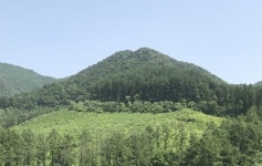 충북도 도유림 절반 괴산 편중 증평·진천·옥천·영동엔 전무