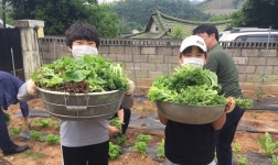 단양 가평초 텃밭 가꾸기 `호응