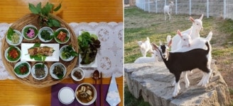 한 박자 쉬고 싶을 때 청양여행 어때요?