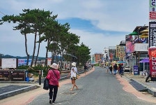 만리포해수욕장 여유롭게 거닌다