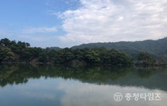 대청호 수변 펜션 무허가 배짱 영업