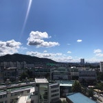 청명한 청주도심