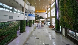 식물원 온 듯 … 천안시청 실내정원 눈길