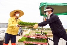 음성지역 첫 모내기
