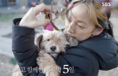 순심이 다시 만나면 쓰다듬어 주고 싶다