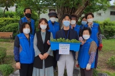 청주가경노인복지관 국화 모종 기증