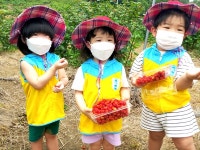 산딸기·블루베리 따러 음성으로 오세요